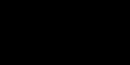 Adidas logo — Captured Celebrations corporate client